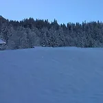 Im Grünen *