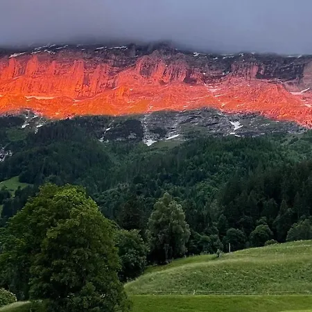 Im Grünen Grindelwald