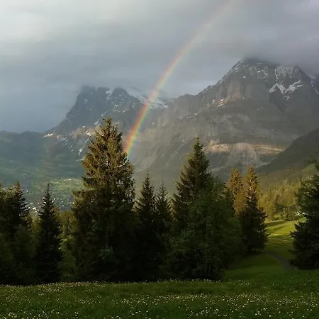 Im Grünen Grindelwald
