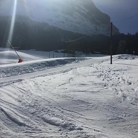 Appartement Im Gruenen Grindelwald