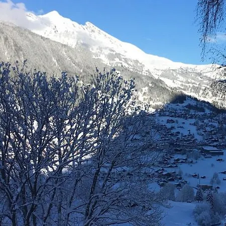 Apartment Ferienwohnung Im Gruenen Grindelwald