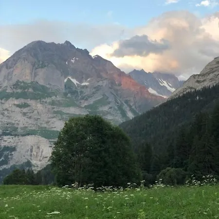 Apartment Im Grünen *