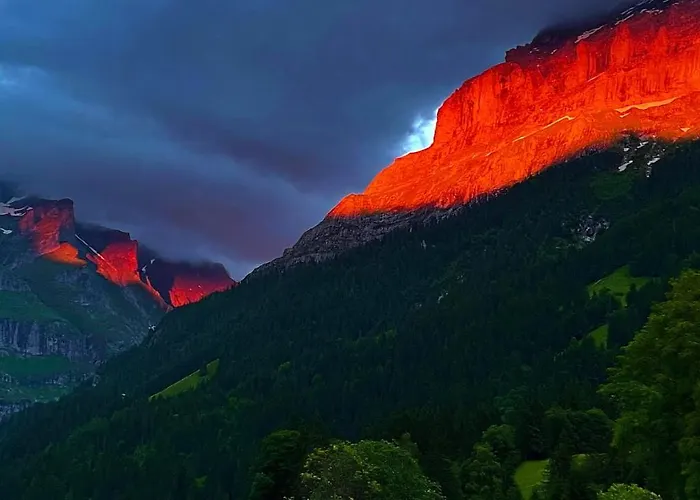 Im Gruenen גרינדלוולד