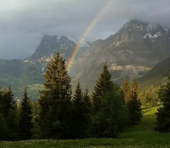 Im Gruenen גרינדלוולד