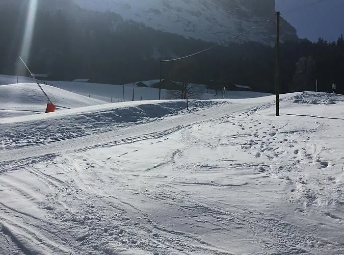 דירה Im Gruenen גרינדלוולד