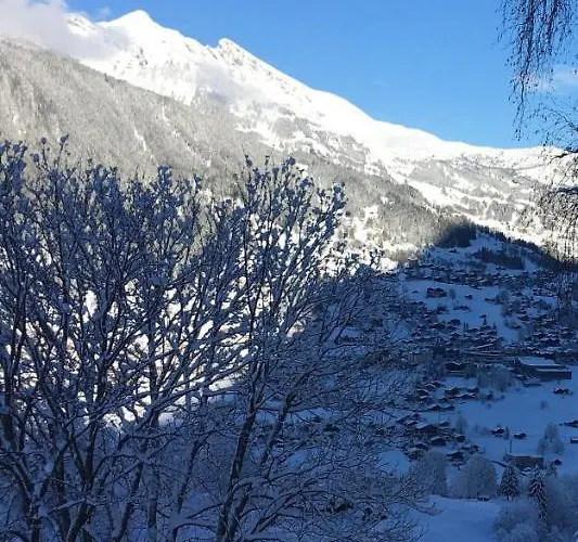 Apartamento Im Grünen Grindelwald
