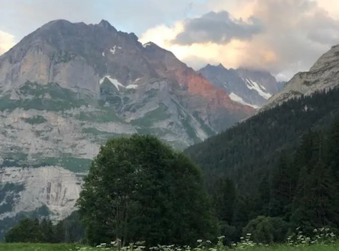 Apartamento Im Grünen *