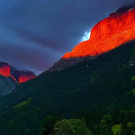 Im Grünen Grindelwald