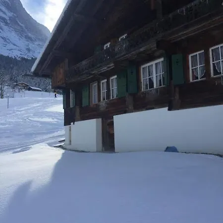 Im Gruenen Apartman *