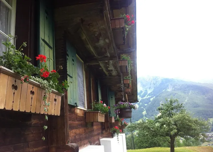 Appartement Im Gruenen